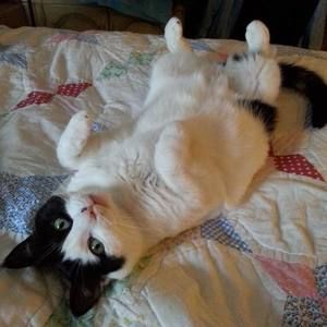 Meet your Posher, Ruth